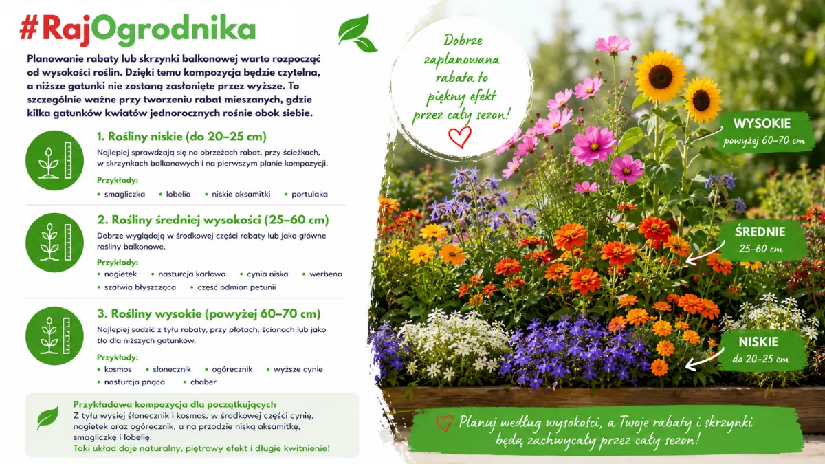 Wysokość roślin i kompozycje do ogrodu i na balkon sklep rajogrodnika